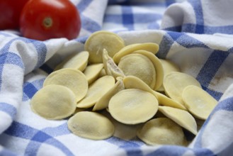 Anolini, filled pasta pockets on kitchen towel, pasta variety from Italy, Anolini piacentini