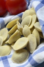 Anolini, filled pasta pockets on kitchen towel, pasta variety from Italy, Anolini piacentini