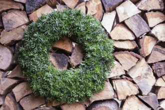 Yew wreath in front of a pile of firewood, North Rhine-Westphalia, Germany