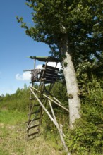 High seat next to a tree
