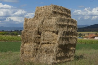 A pile of bundled straw in a meadow