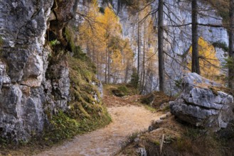 Hiking trail on the Dachstein mountains, path to the mammoth cave in autumn, rocks and yellow