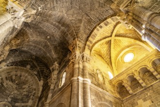 Vault in the church Chiesa di San Giovanni Battista, Matera, Basilicata, Italy