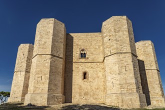 The Castel del Monte in Apulia, Italy