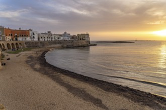 The town beach Spiaggia della Purità and the old town centre at sunset, Gallipoli, Apulia, Italy