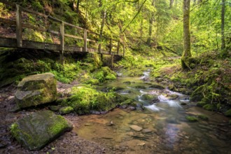 Lotenbachklamm, landscape in the Black Forest, hiking trail with wooden bridge, Lotenbach with