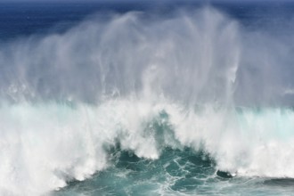 Strikingly shaped ocean wave with high spray. Lanzarote, Canary Islands, Spain