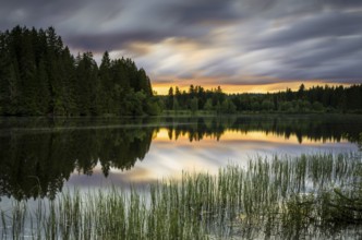 The lake Windgfällweiher at sunset, long exposure, Black Forest, municipality Lenzkirch,