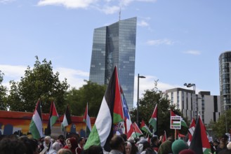 Several thousand people take part in a pro-Palestine demonstration under the slogan United 4 Gaza
