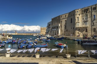 Blue Gozzi fishing boats in the old harbour of Monopoli, Apulia, Italy