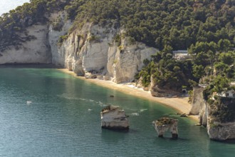 Faraglioni di Baia delle Zagare rock formation near Mattinatella, Mattinata, Gargano, Apulia, Italy
