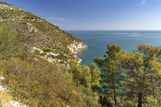 The coast near Mattinatella, Mattinata, Gargano, Apulia, Italy