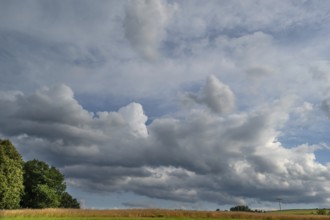 Cloudy sky, ripe cornfield below, Eckental, Middle Franconia, Bavaria, Germany