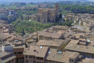 View of the Basilica Di San Dominico, in front of the roofs of the historic centre, Siena, Tuscany,