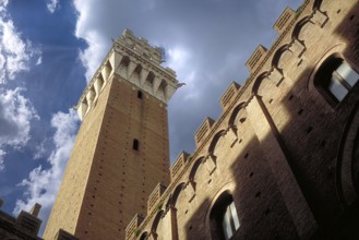 The tower on the Piazza del Campo, Siena, Tuscany, Italy
