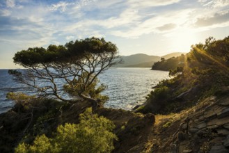 Picturesque hiking trail on the coast, sunset, La Croix-Valmer, Saint Tropez, Var, French Riviera,