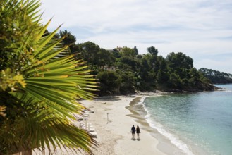 Beach, Plage du Canadel, Rayol, Var, French Riviera, Provence-Alpes-Cote d'Azur, Cote d Azur,