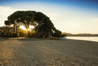 Beach, Plage de l'Argentière, Sunrise, La Londe-les-Maures, Var, French Riviera,