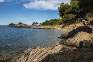Hiking trail on the coast, Bormes-les-Mimosas, Var, French Riviera, Provence-Alpes-Cote d'Azur,
