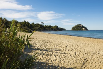 Beach, Plage de Cabasson, Bormes-les-Mimosas, Var, French Riviera, Provence-Alpes-Cote d'Azur, Cote