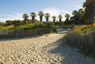 Beach, Plage de Cabasson, Bormes-les-Mimosas, Var, French Riviera, Provence-Alpes-Cote d'Azur, Cote