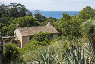 Domaine du Rayol, Botanical Garden, Rayol, Var, French Riviera, Provence-Alpes-Cote d'Azur, Cote d