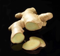 Ginger (Zingiber officinale) against a black background