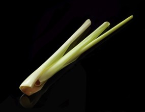 Lemon grass (Cymbopogon citratus) against a black background