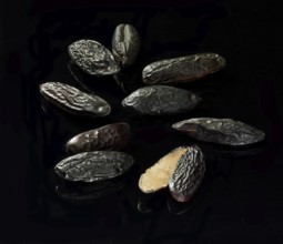 Tonka beans against a black background