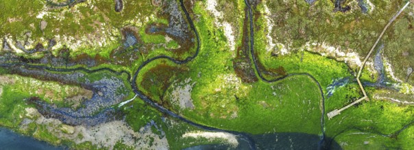 Top Down over River Hamble Mud at low tide from drone, Swanwick, Southampton, Hampshire, England,