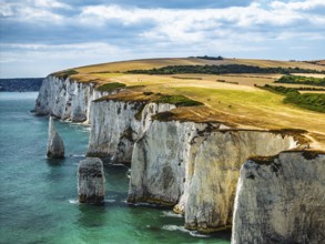 White Cliffs of Old Harry Rocks Jurassic Coast from a drone, Handfast Point, Dorset Coast, Poole,