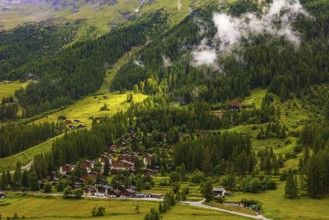 Rising fog over a fir forest, below the mountain village of Zinal, Val d'Anniviers, Valais Alps,
