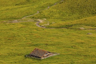 Alpine hut in green alpine meadow, above Grimentz, Val d'Anniviers, Valais Alps, Canton Valais,