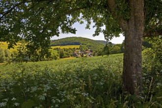 Landscape in the Weserbergland, Bodenwerder, Münchhausenstadt, Lower Saxony, Germany