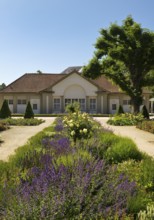 Rose garden in the spa gardens with the back of the concert shell, Bad Nauheim, Hesse, Germany