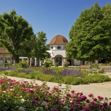 Rose garden in the spa gardens with the back of the concert shell and the Trinkkuranlage, Bad