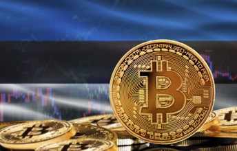 Investors in cryptocurrency and Blockchain Technology in Estonia, Concept. Bitcoin with Estonia