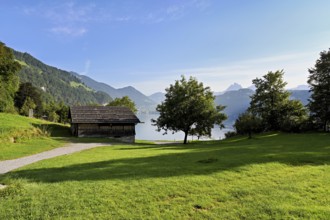 Rütli meadow, Lake Lucerne, Rütli, Canton, Uri, Switzerland