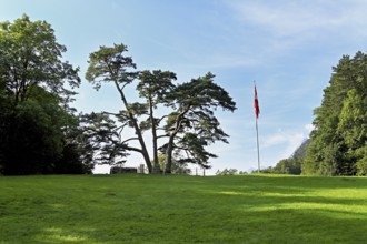 Rütli meadow, Lake Lucerne, Rütli, Canton, Uri, Switzerland