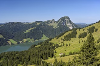 View from Bockmattli to the Wägitalersee, behind the small and large Aubrig, Innerthal, Canton,
