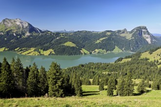 View from Bockmattli to the Wägitalersee, behind the small and large Aubrig, Innerthal, Canton,