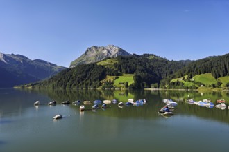 Motorboats moored at the reservoir, snow-covered Alps in the background, Wägitalersee, Canton,