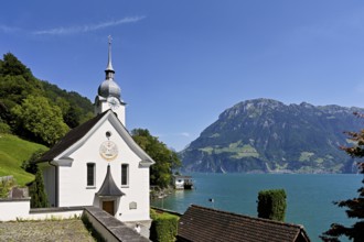Roman Catholic Church of St Idda, Lake Lucerne in the background, Bauen, Canton, Uri, Switzerland
