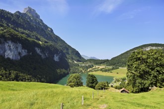 View from the lake, Seelisberg, Canton, Uri, Switzerland