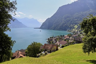 View of the village, Lake Lucerne in the background, Bauen, Canton Uri, Switzerland