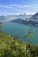 View from Seelisberg to Lake Lucerne, behind Brunnen and the small and large Mythen, Seelisberg,