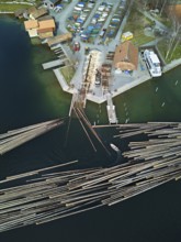Raft of felled tree trunks at the landing stage where the trunks are pulled ashore and cut to size