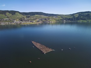Forestry workers float a raft of felled tree trunks from the Bergmatt across the Ägerisee to the