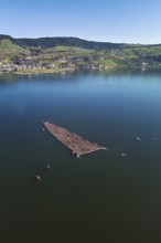 Forestry workers float a raft of felled tree trunks from the Bergmatt across the Ägerisee to the