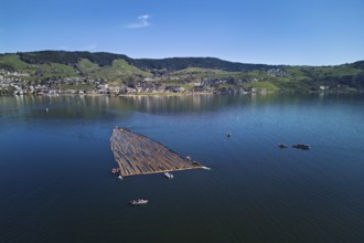Forestry workers float a raft of felled tree trunks from the Bergmatt across the Ägerisee to the